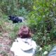 4 Days Uganda Gorilla tour