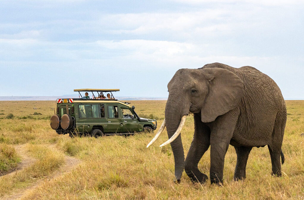 Kenya Or Tanzania: Which Is Best For Safari?