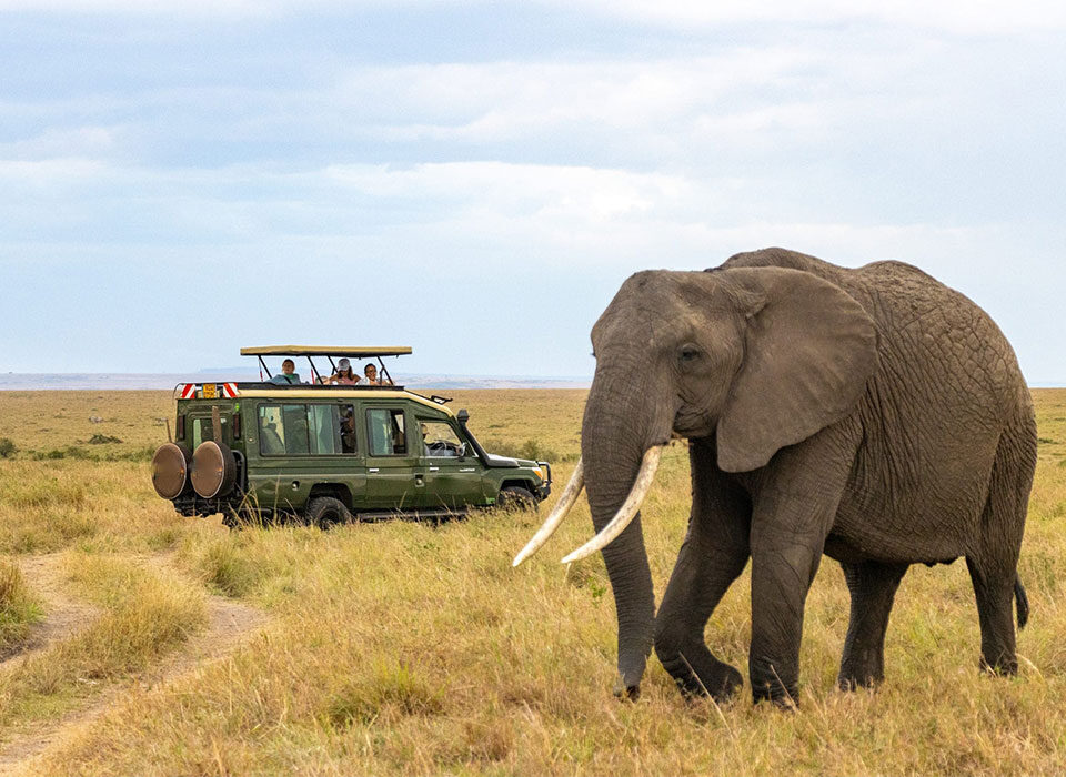 Kenya Or Tanzania: Which Is Best For Safari?
